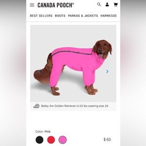 Canada Pooch Snow Suit - Size 20